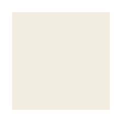 Porcelanato Polar Beige Acetinado Retificado 60x60 Tipo A ELIZABETH / REF. 8061830