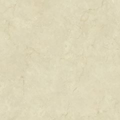 Piso Esmaltado HD Arara 62x62 Acetinado Retificado Tipo A ELIZABETH / REF. 8064199