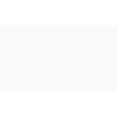 Revestimento Riviera Branco Mate Retificado 36x58 Tipo A ARIELLE / REF. 54704