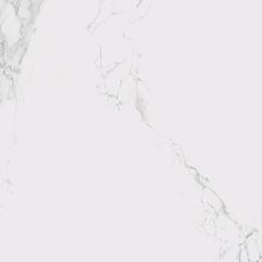 Porcelanato Le Blanc Acetinado Retificado 100x100 Tipo A ELIZABETH / REF. 8069974
