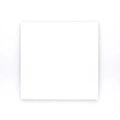Placa Arteor 4x2 Cega White - Ref. 575360B - PIAL