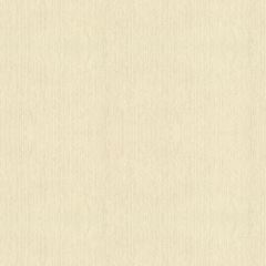 Papel de Parede Vinílico Texturas Bege 0,70x10m BOBINEX / REF. PP173