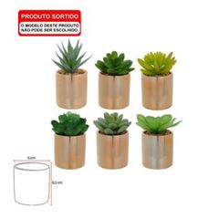 Folhagem de Suculentas  Sortidas com Vaso 10cm 1 unidade Verde  FLORARTE / REF. 42480001