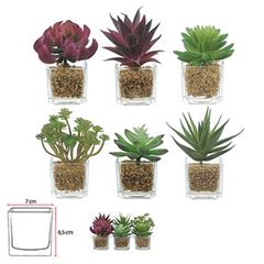 Folhagem de Suculenta  Sortida com Vaso 11cm 1 Unidade Verde e Vermelho FLORARTE / REF. 42322003