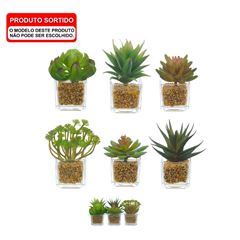 Folhagem de Suculenta Sortida com Vaso 11cm 1 Unidade Verde2T FLORARTE / REF. 42322001