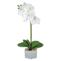 Haste Orquídea Phalaenopsis 32cm Vaso com Bambu Branco FLORARTE / REF. 40789002