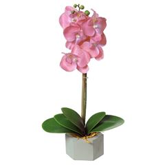 Haste Orquídea Phalaenopsis 32cm Vaso com  Bambu Rosa FLORARTE / REF. 40789001