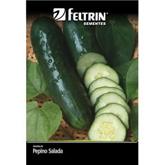 Semente Pepino Verde Comprido FELTRIN / REF. 093.0090.EVEC