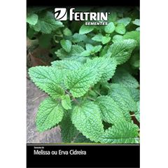 Semente Melissa ou Erva Cidreira FELTRIN / REF. 096.0608.EVEC