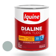 Tinta Esmalte Alto Brilho 750ml Dialine Base Água Platina IQUINE / REF. 234200683