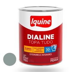 Tinta Esmalte Alto Brilho 750ml Dialine Base Água Cinza Médio IQUINE / REF. 234200783