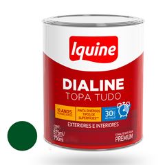 Tinta Esmalte Alto Brilho 750ml Dialine Base Água Verde Folha IQUINE / REF. 234203483